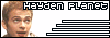 link4.gif